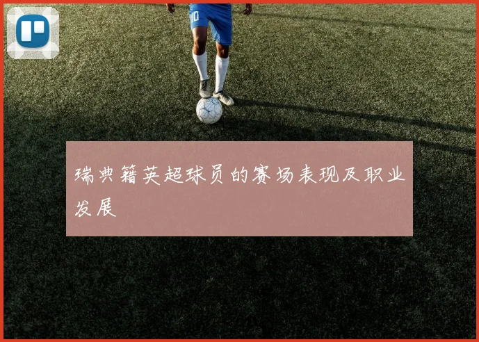 瑞典籍英超球员的赛场表现及职业发展