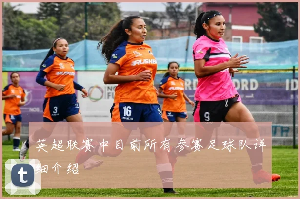 英超联赛中目前所有参赛足球队详细介绍