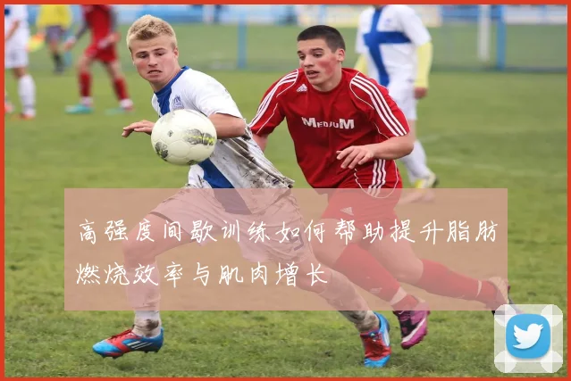 高强度间歇训练如何帮助提升脂肪燃烧效率与肌肉增长